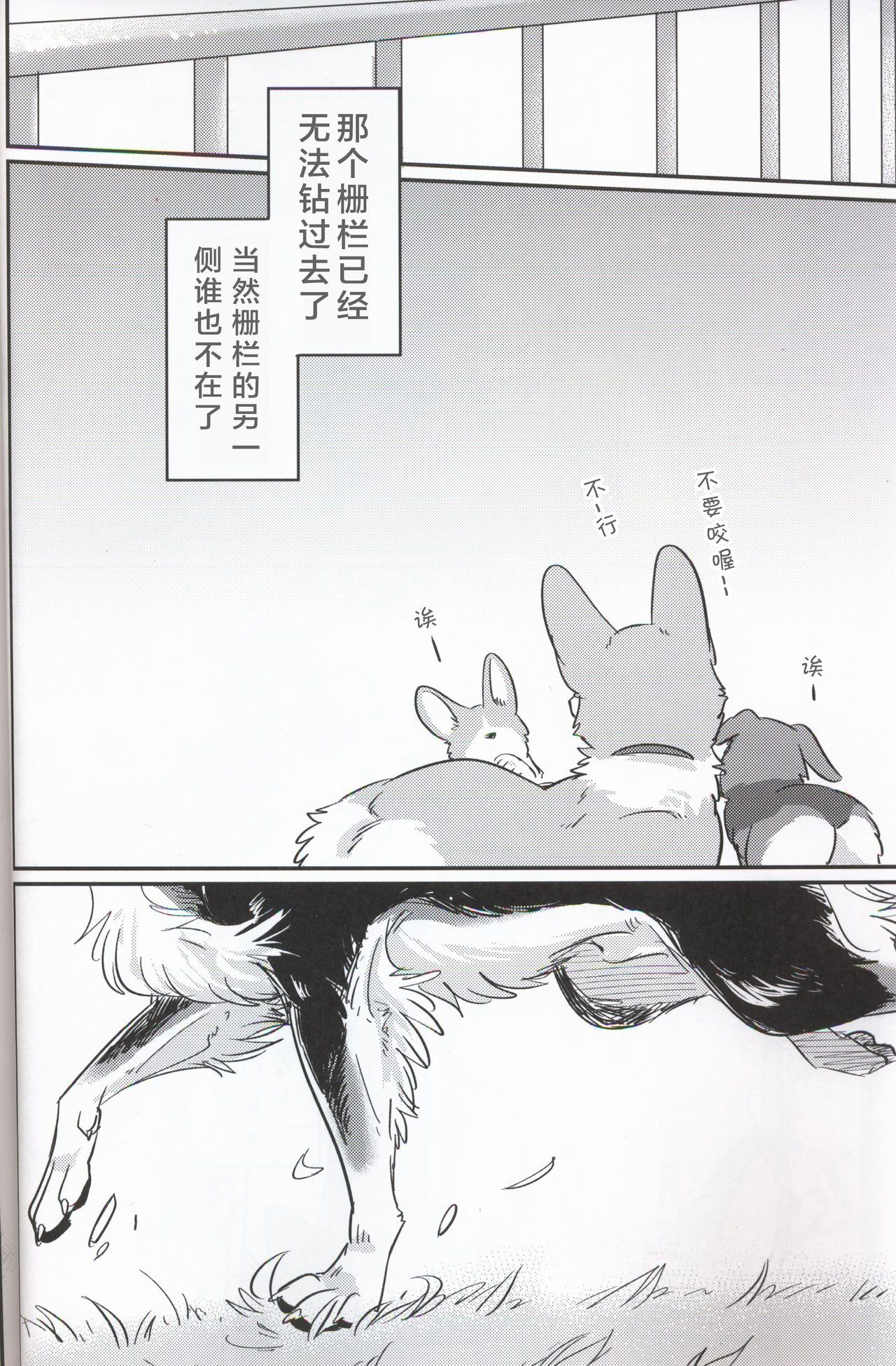 06