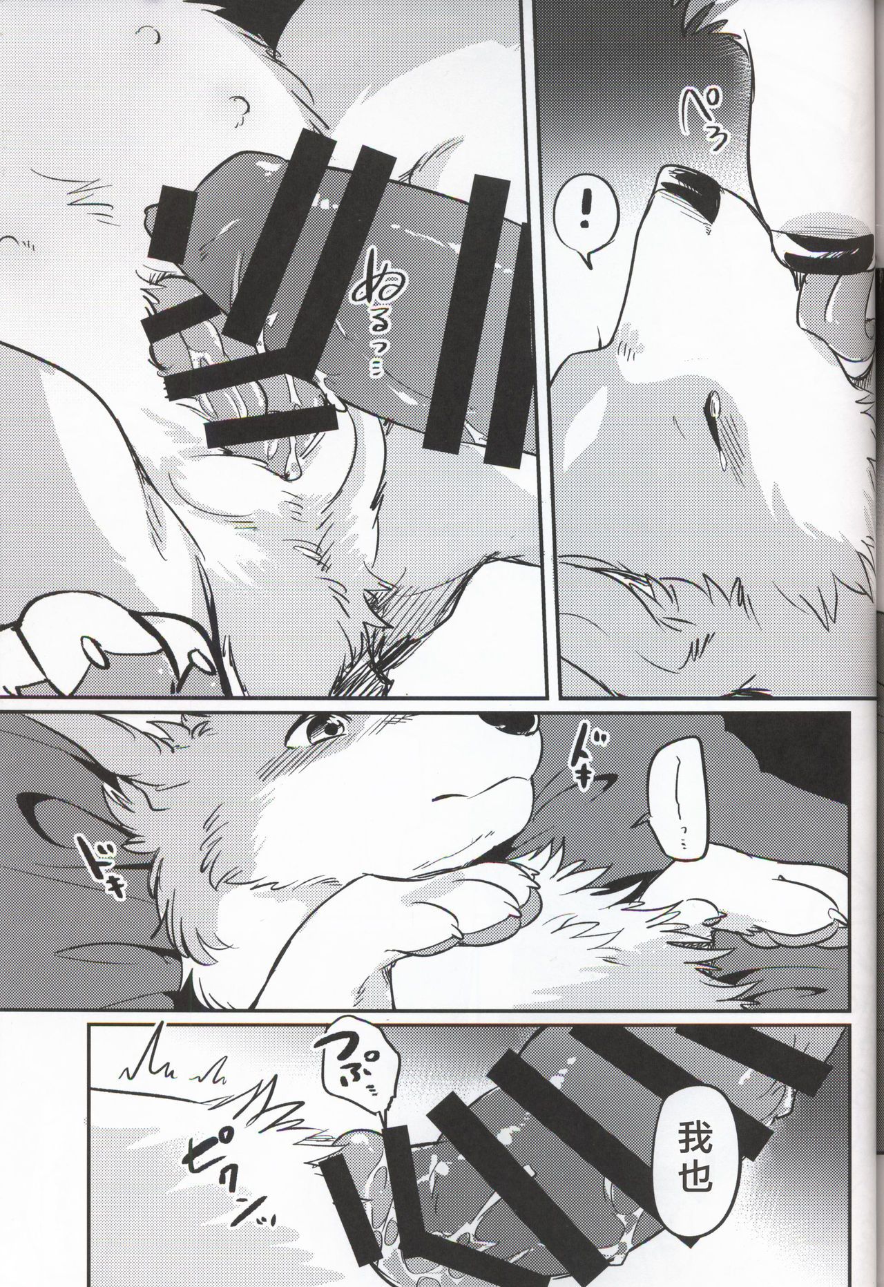 31