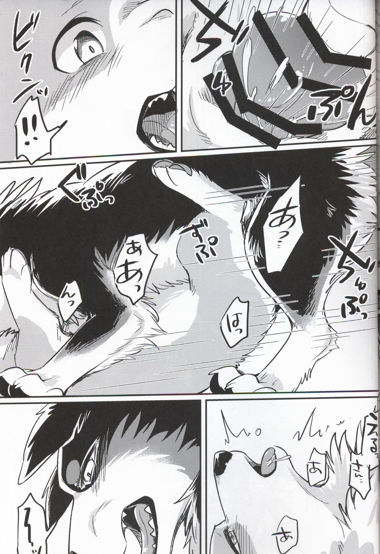 33