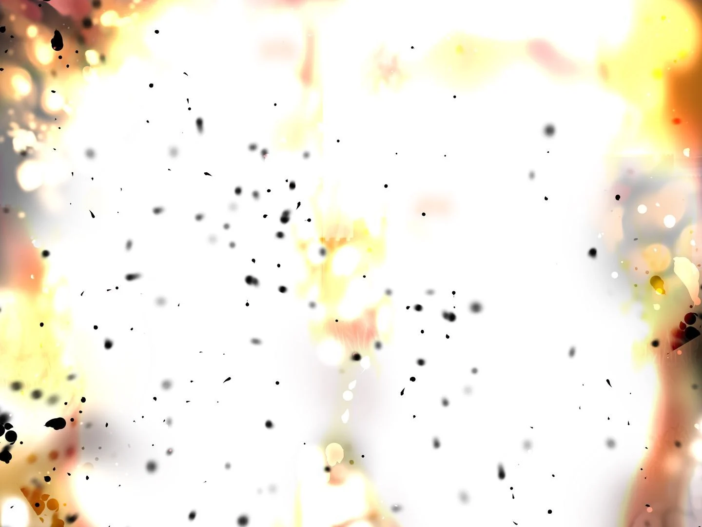 00000032