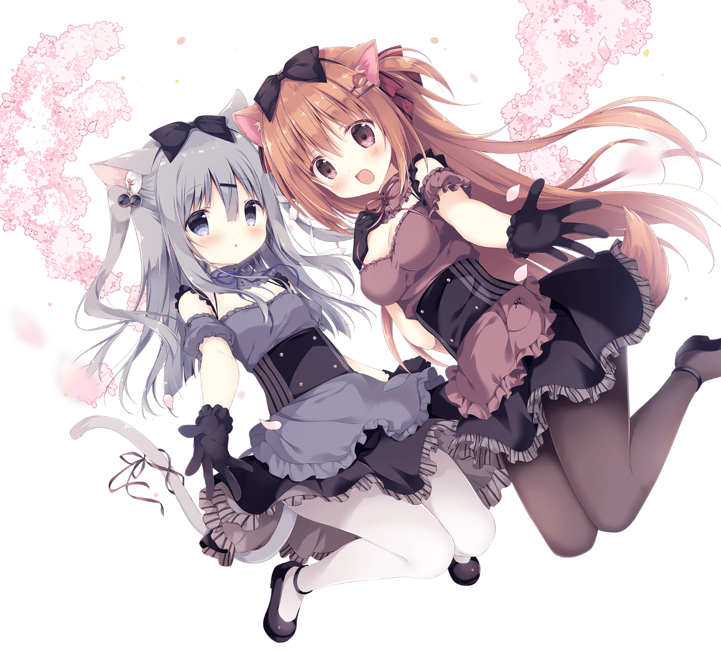 _cover2