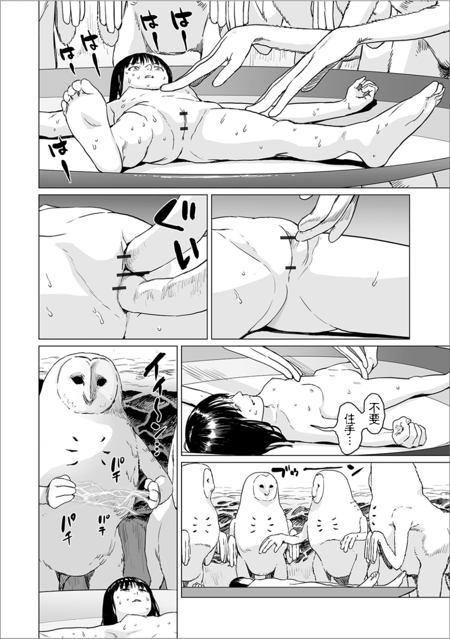 16_page_16