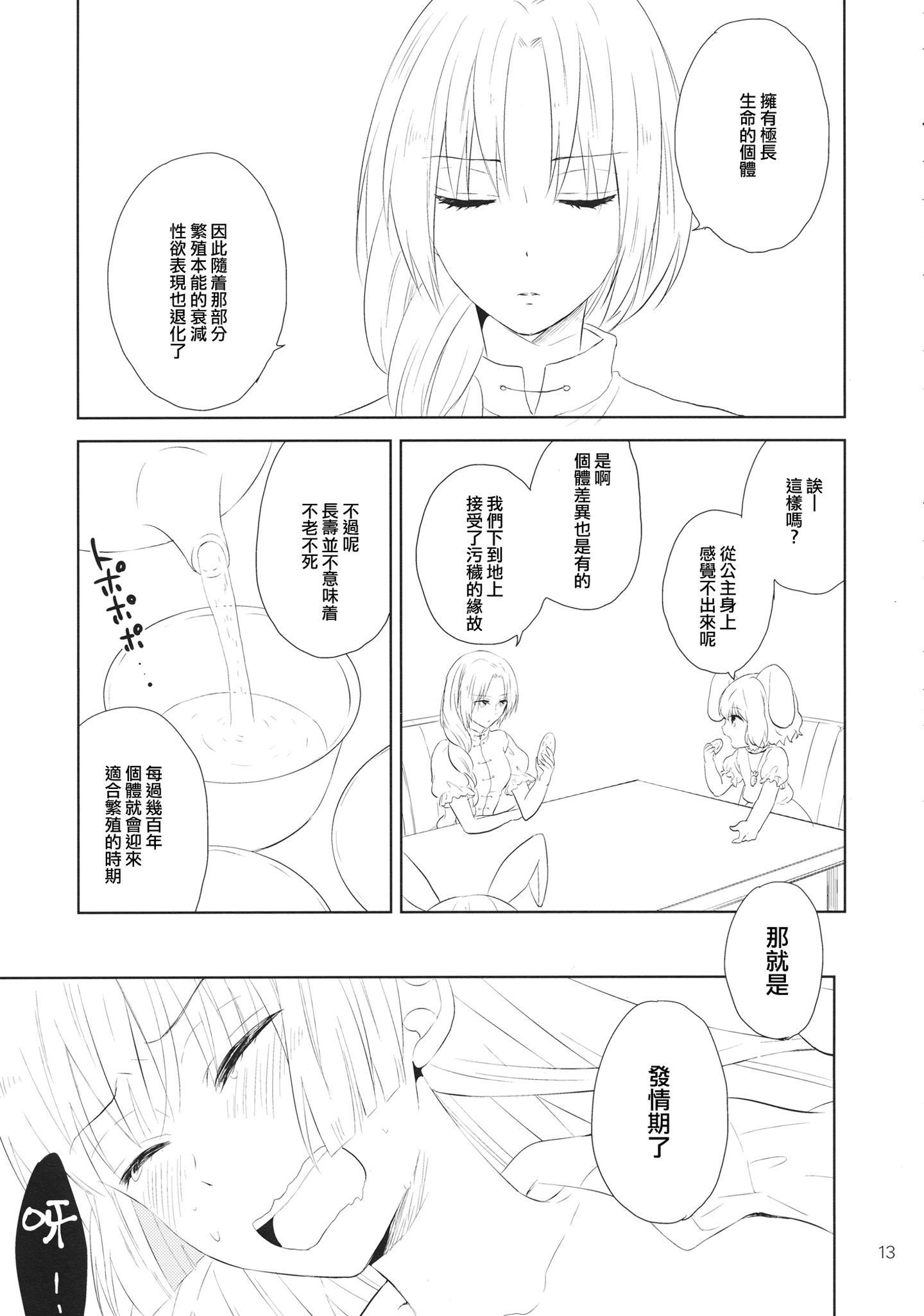 12_image