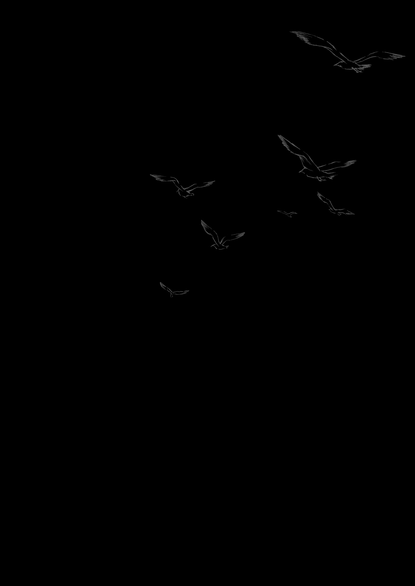 02_MJK_20_T2211_002
