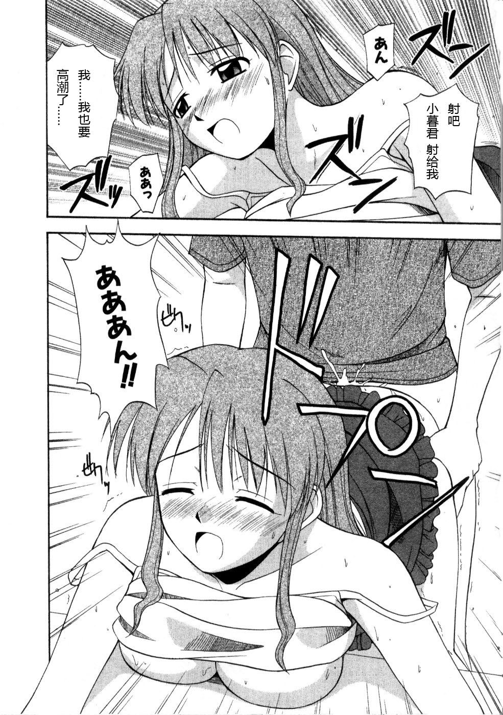 Sato_Chagashi_Multi_Style_018