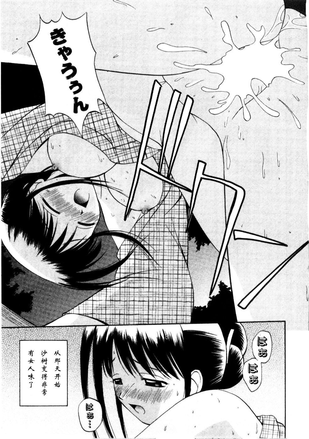 Sato_Chagashi_Multi_Style_139
