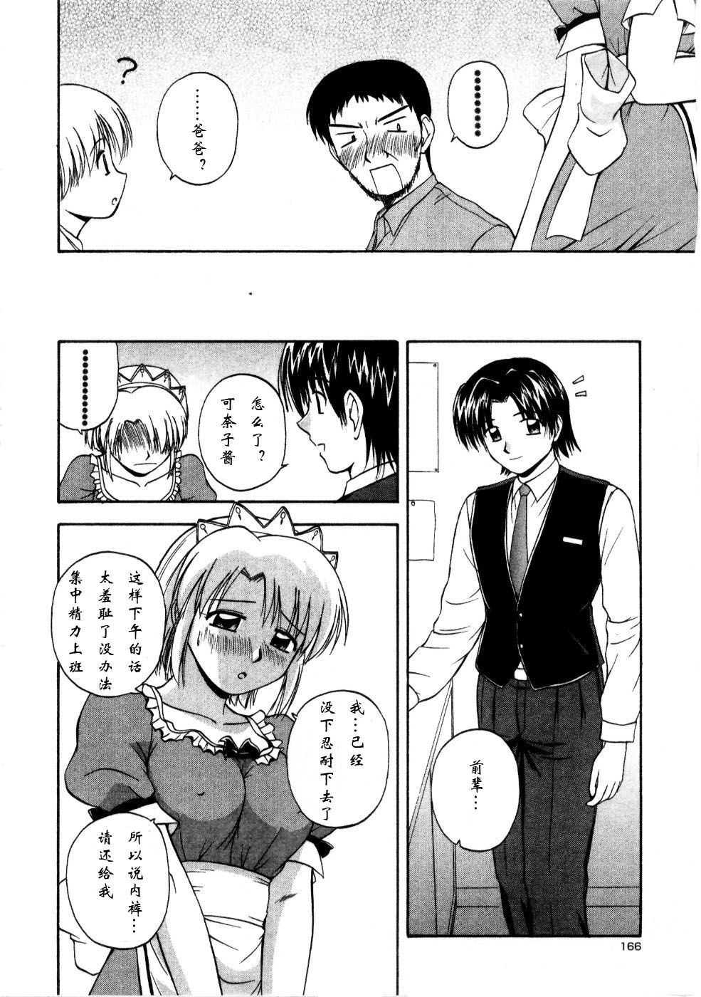 Sato_Chagashi_Multi_Style_166