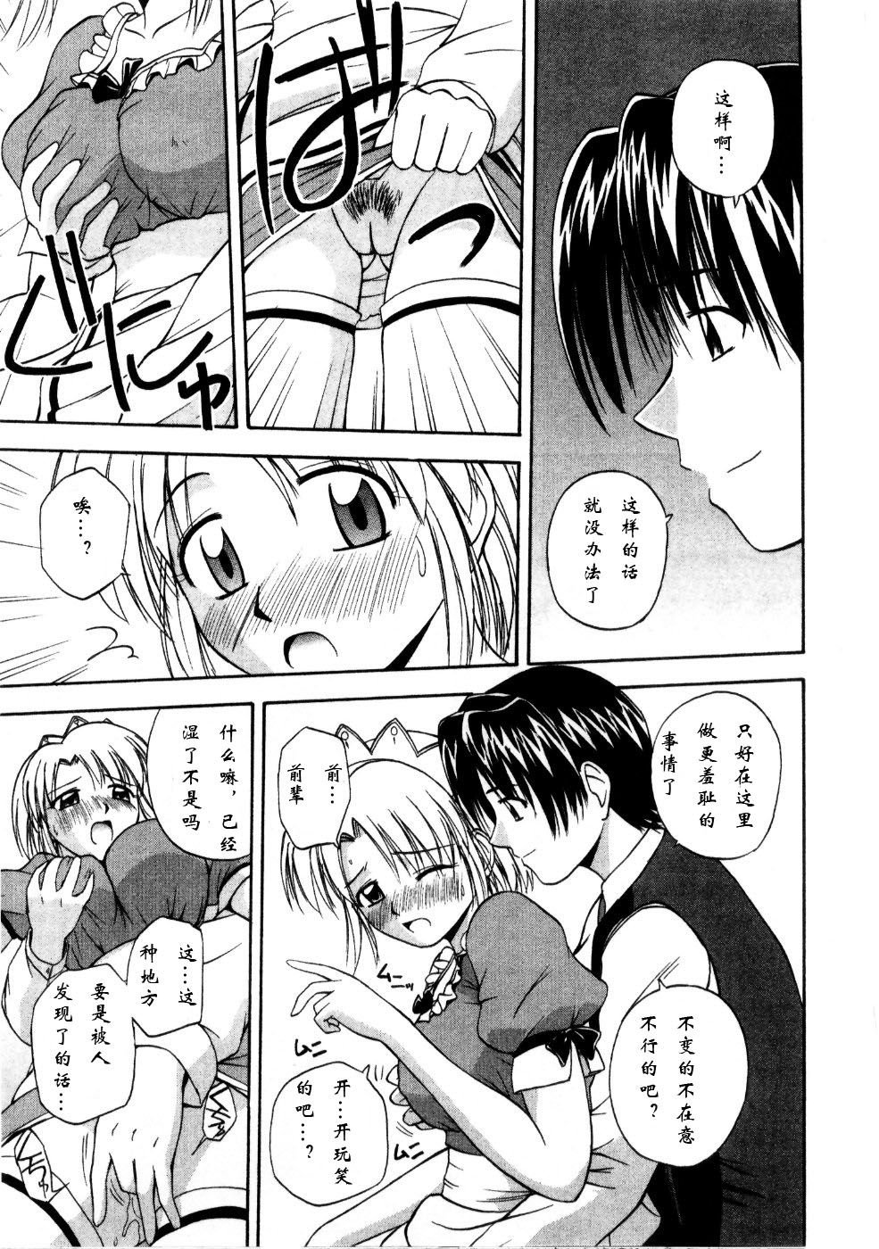 Sato_Chagashi_Multi_Style_167