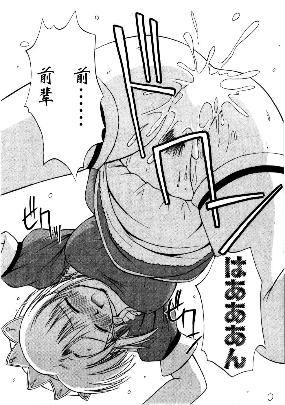 Sato_Chagashi_Multi_Style_170
