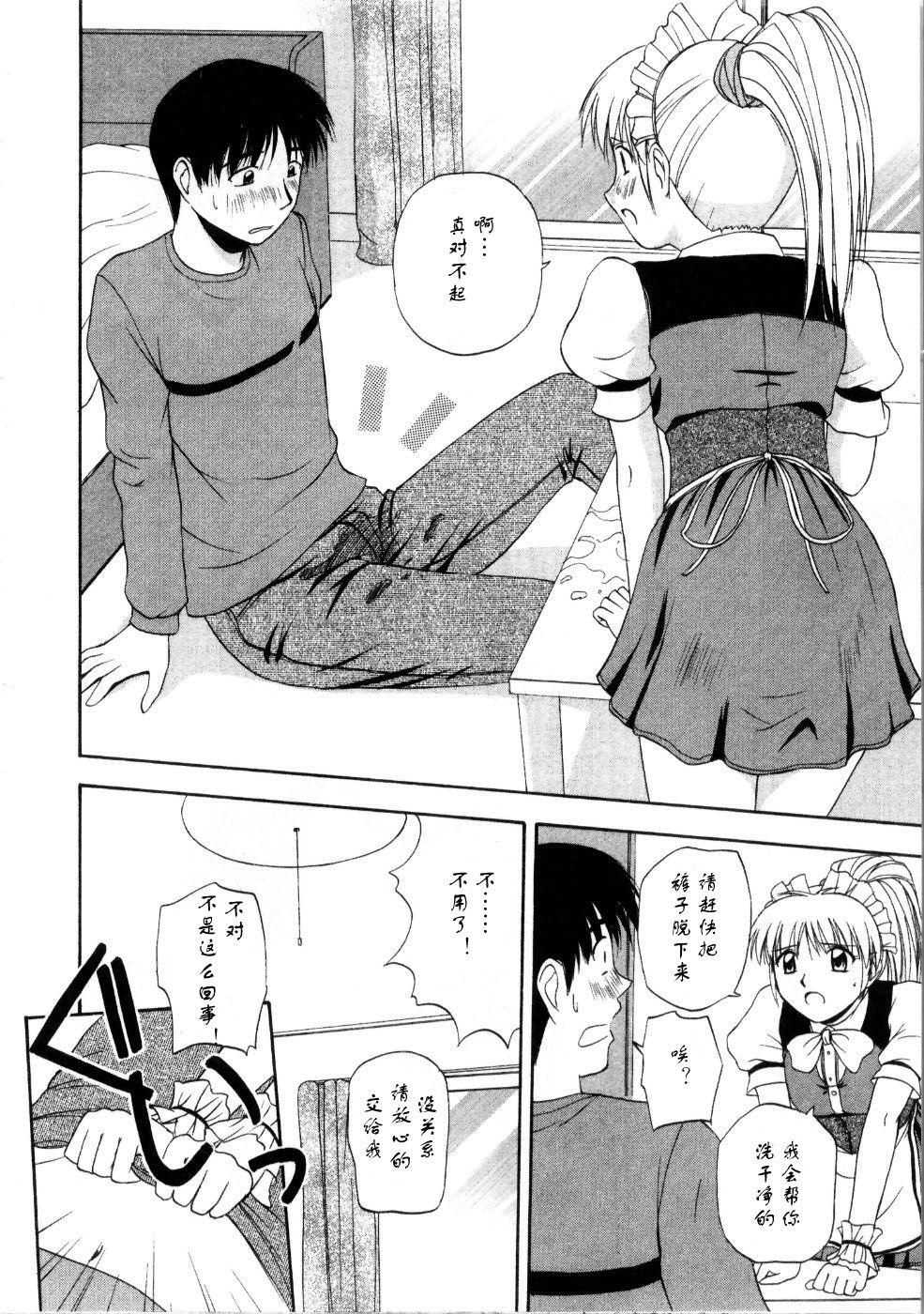 Sato_Chagashi_Multi_Style_180