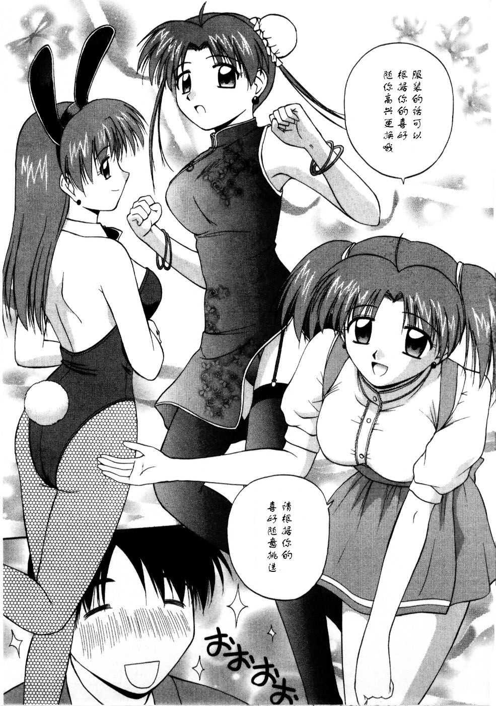 Sato_Chagashi_Multi_Style_195