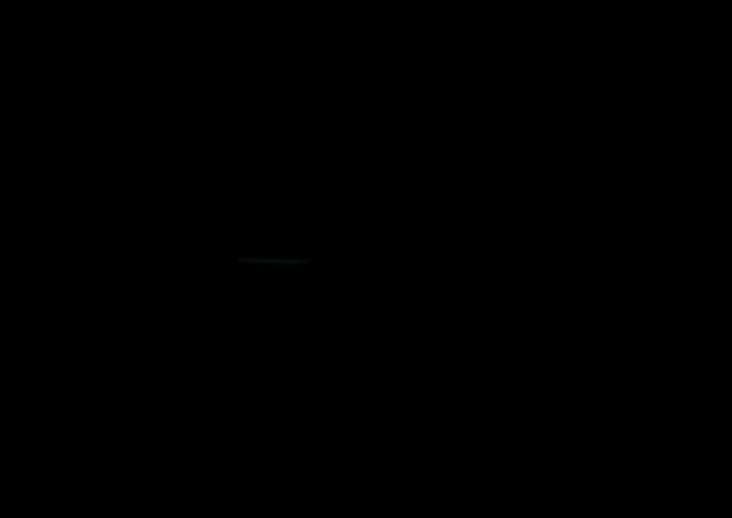 00000091