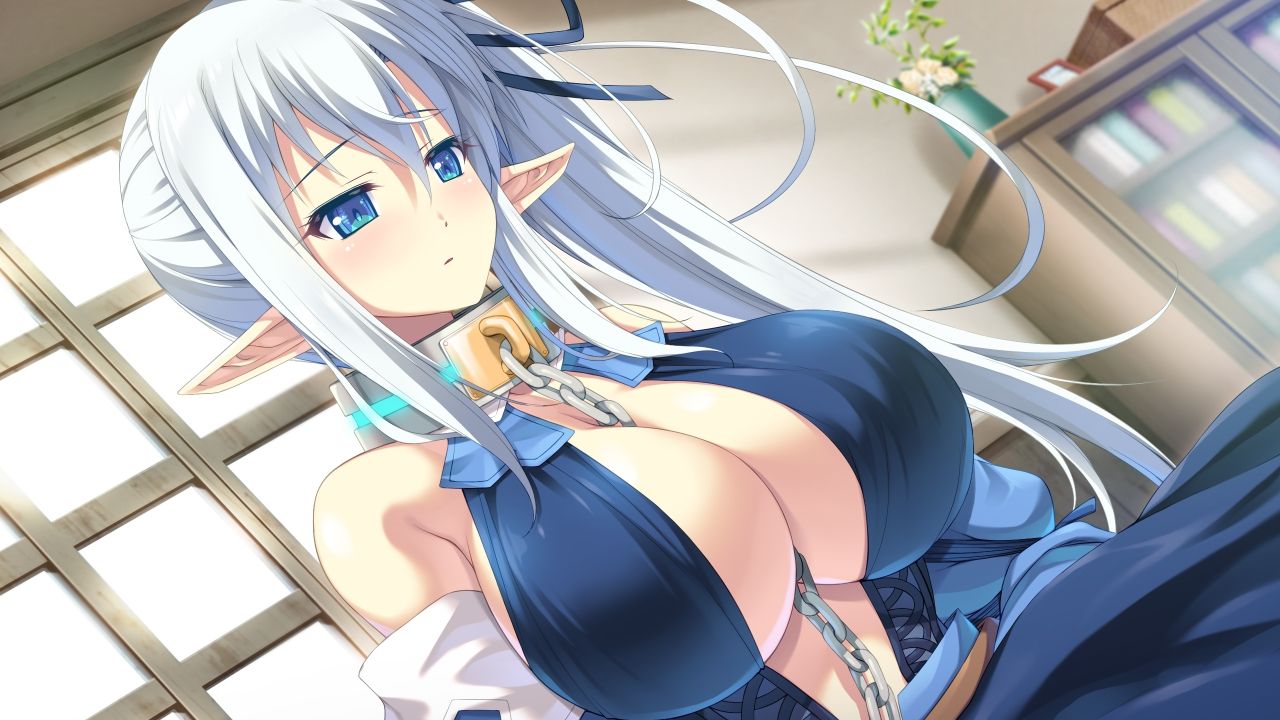 EV_B16_002