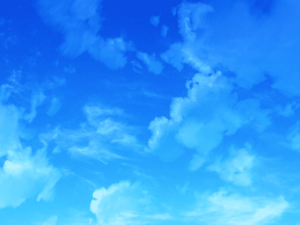 1343_bg99