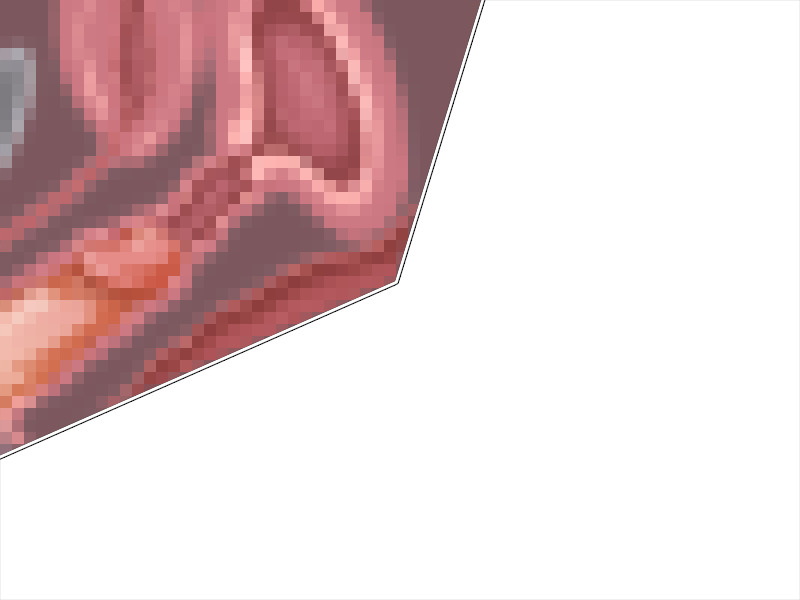 S11B01