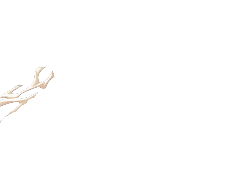 S11B02