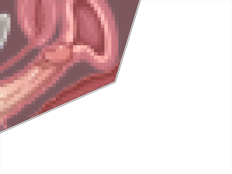 S11B04