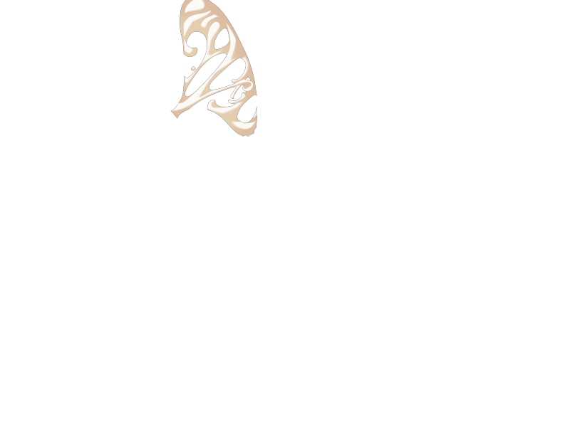 S11B06