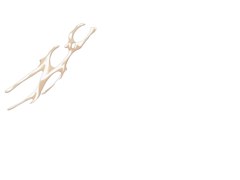 S11B08