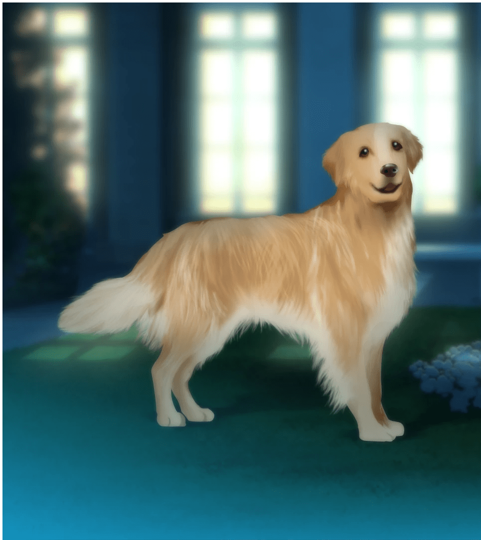 168_dog4