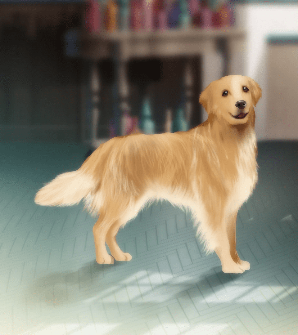169_dog5