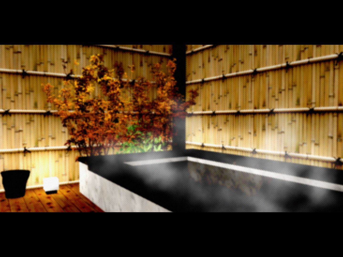 NT_011_01a