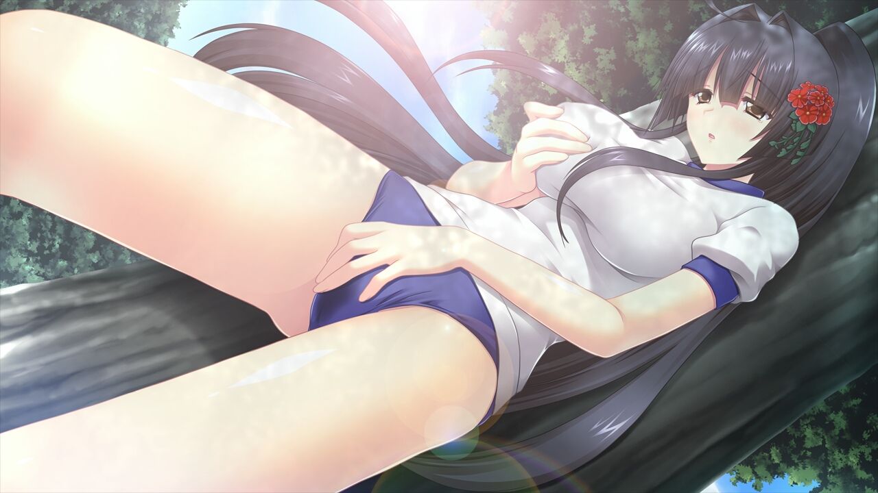 evb_003a