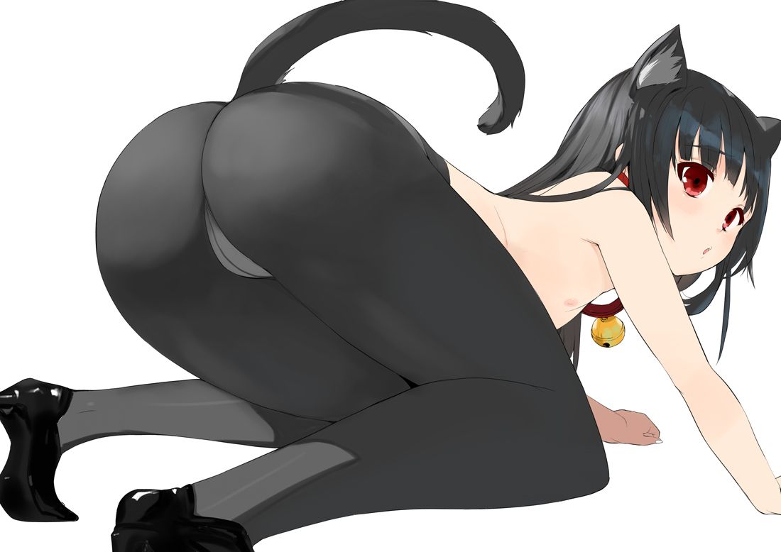 16937207_p0