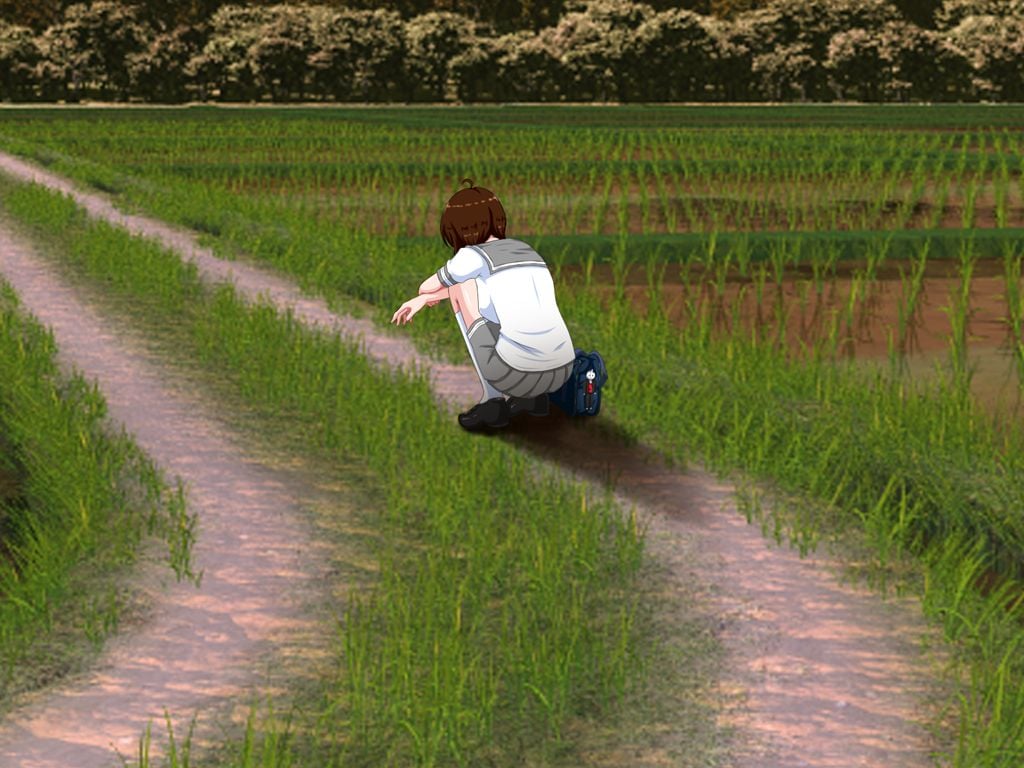 028_ev_momizi04_2