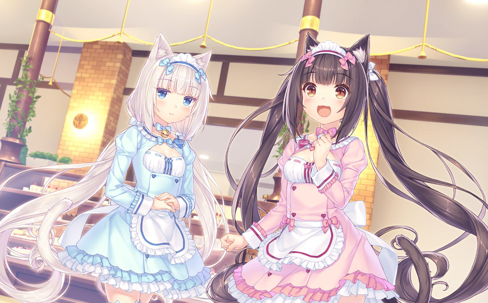 neko4_an01a