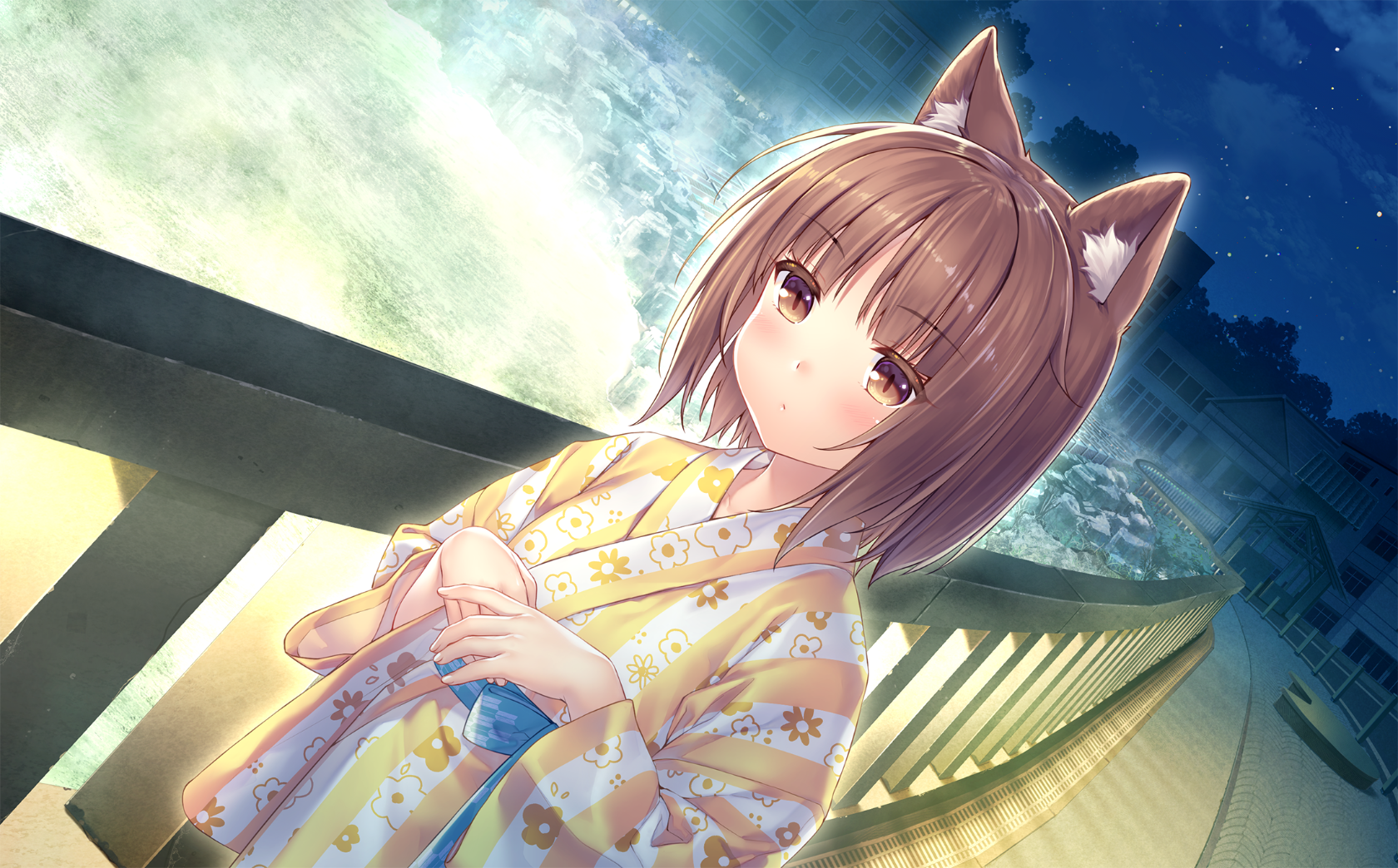 neko4_an14a