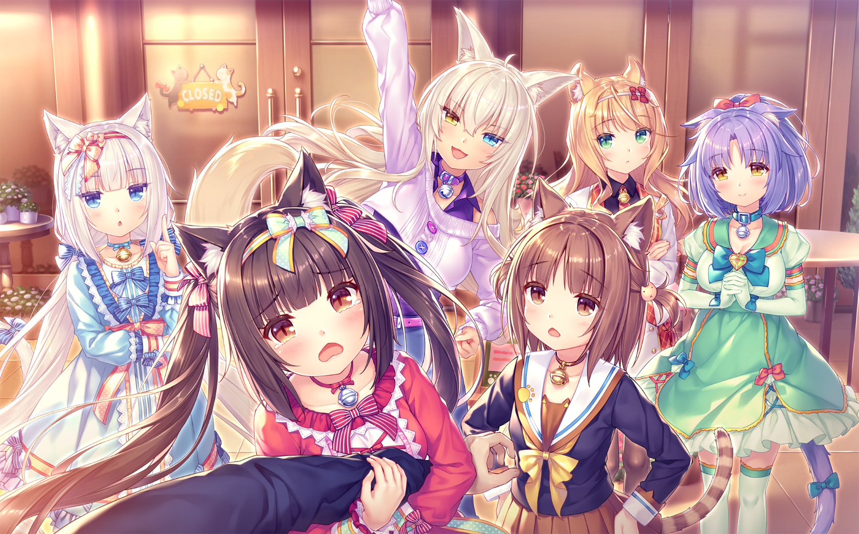 neko4_an20a