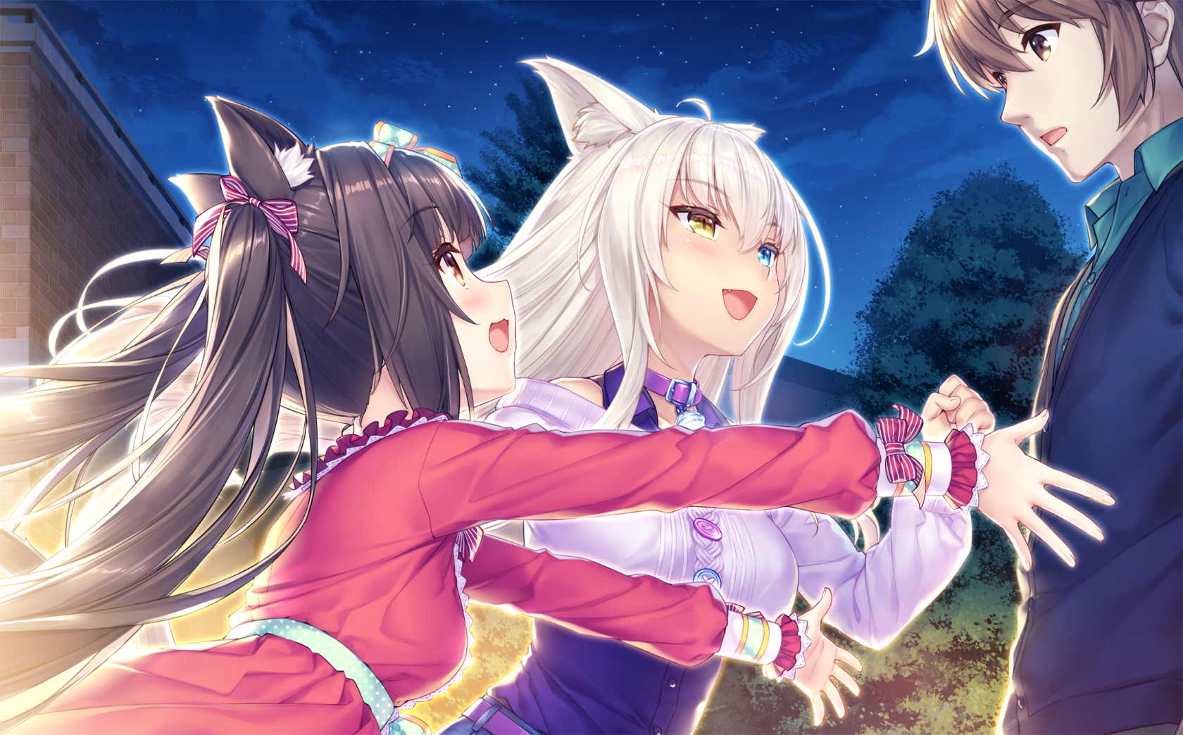 neko4_an31a