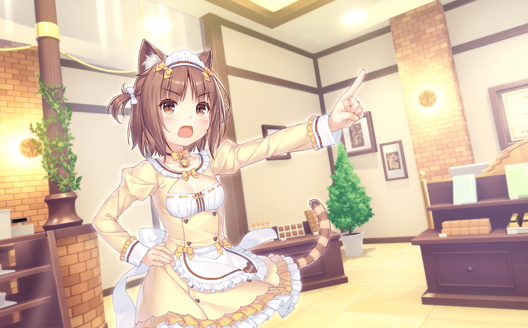 neko4_an37a