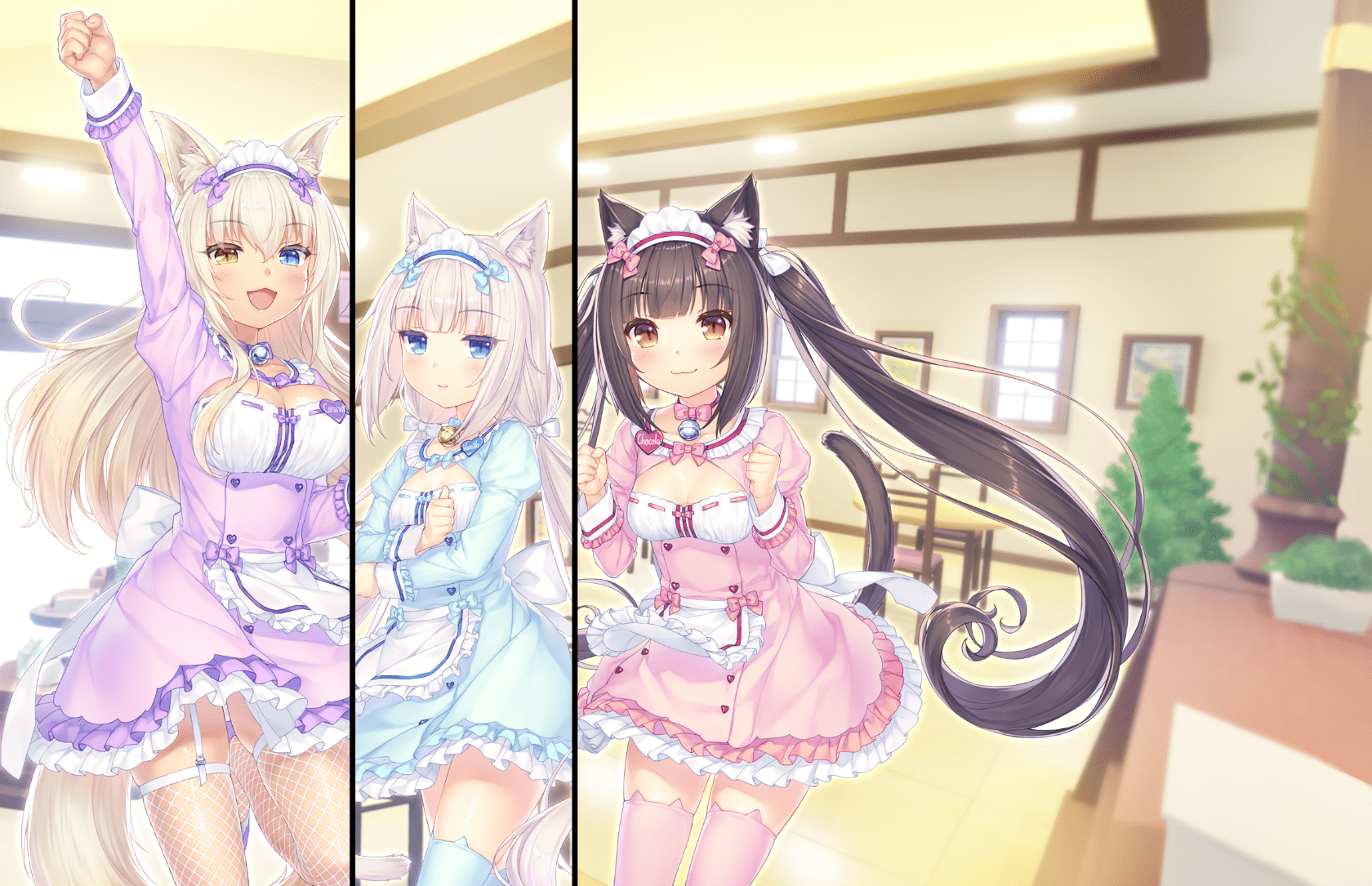 neko4_an38c