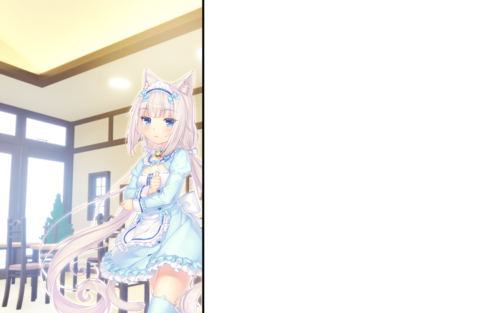 neko4_an38c5