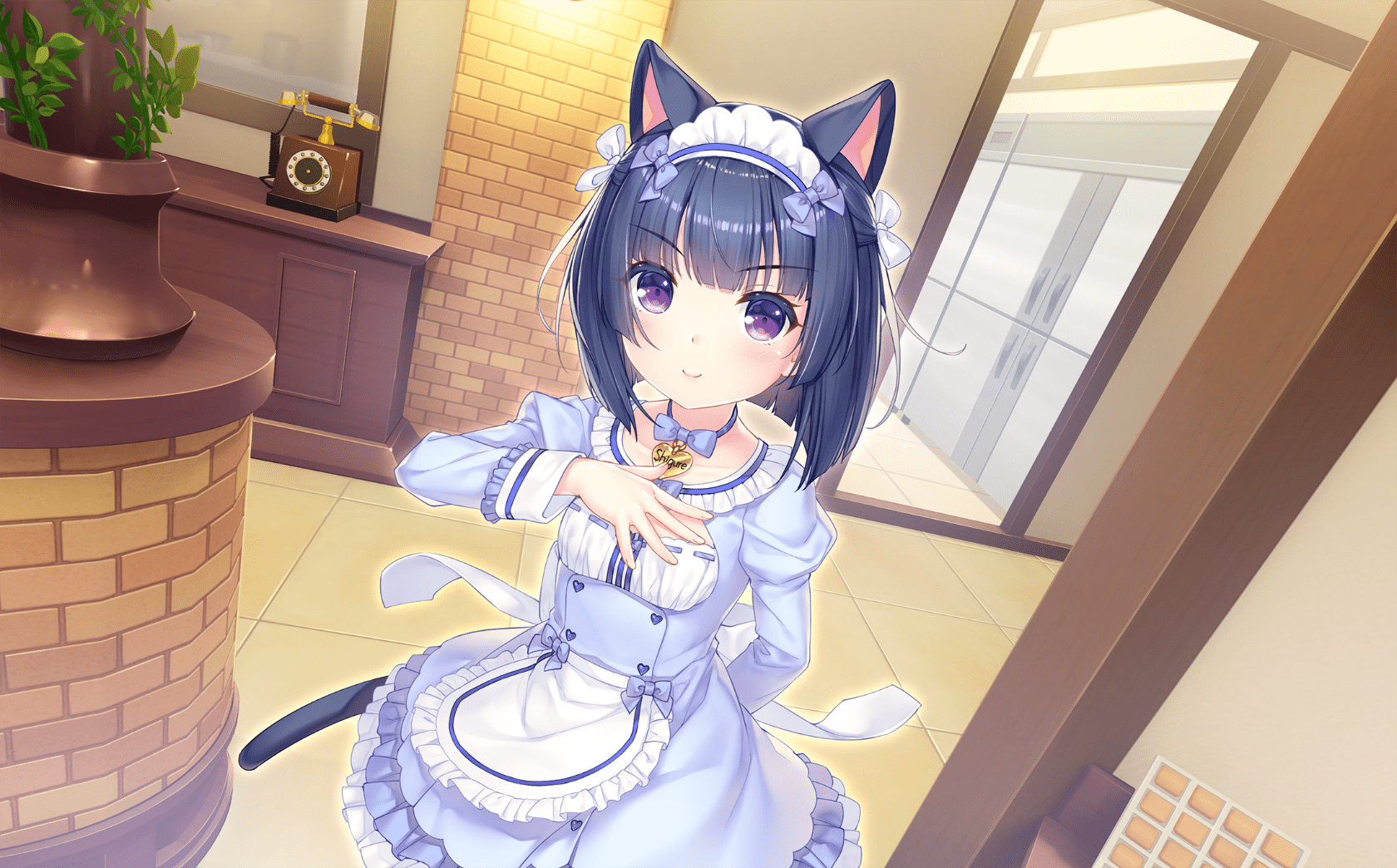 neko4_an39a