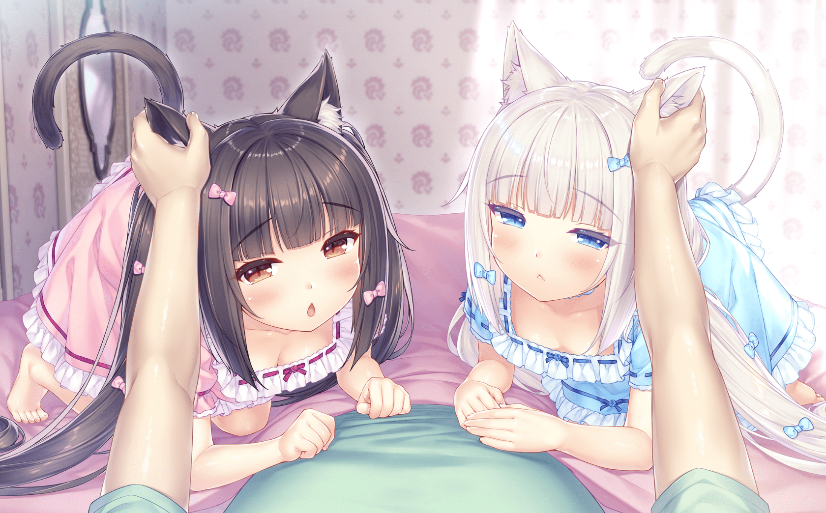 neko4_cs01f