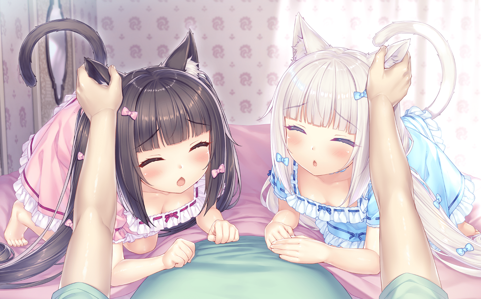 neko4_cs01g