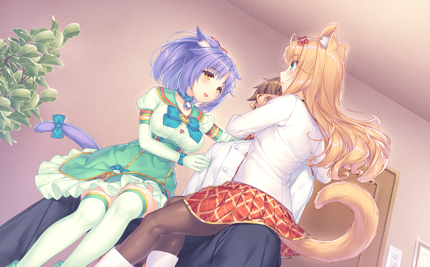 neko4_cs03a