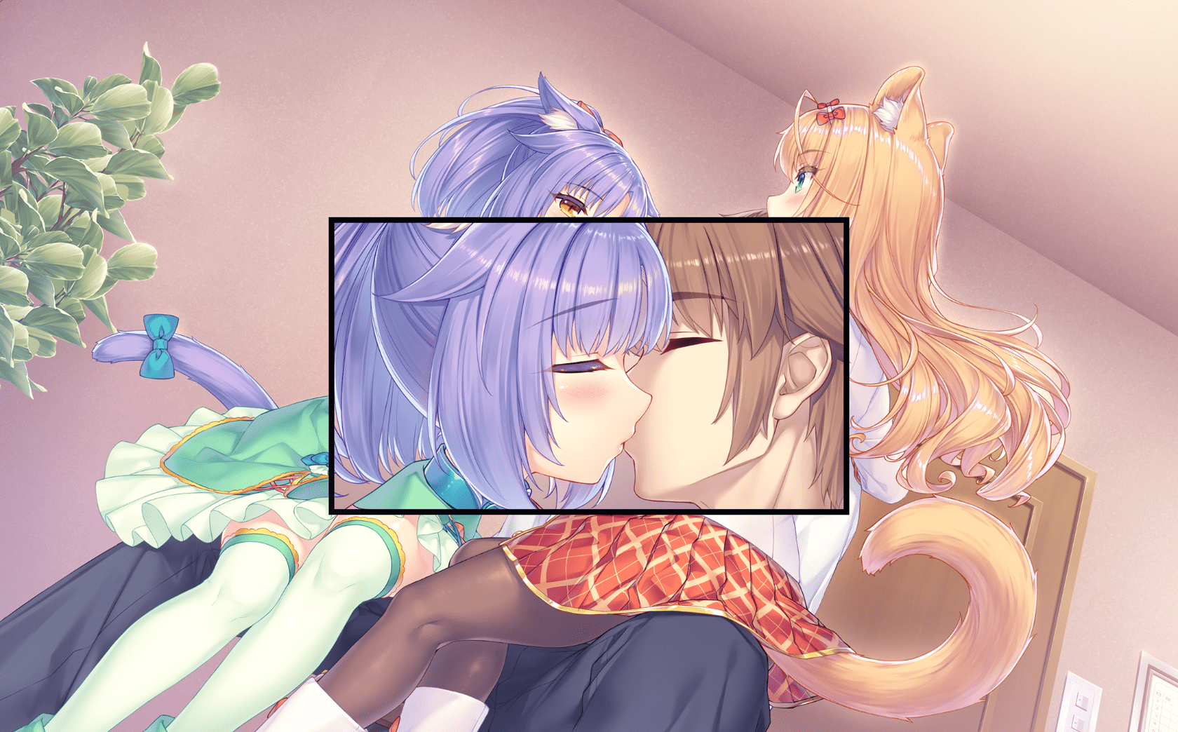 neko4_cs03c
