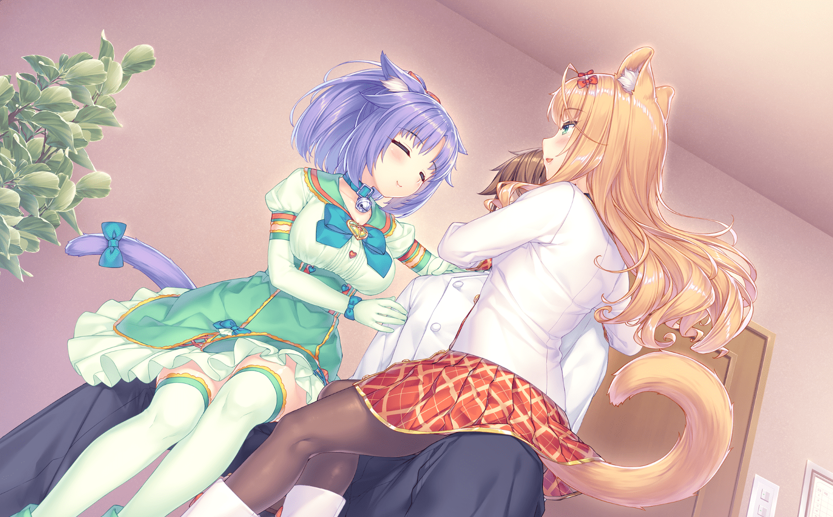 neko4_cs03d