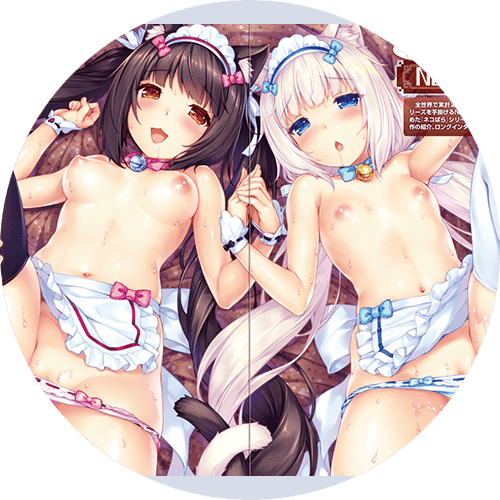301_3094_p0_19FsjTfT7WsnQtJ01xIfqKpb_TECH_GIAN6_NEKO_WORK_sH