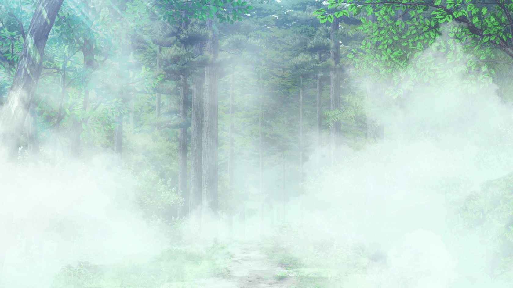 403_treeFog