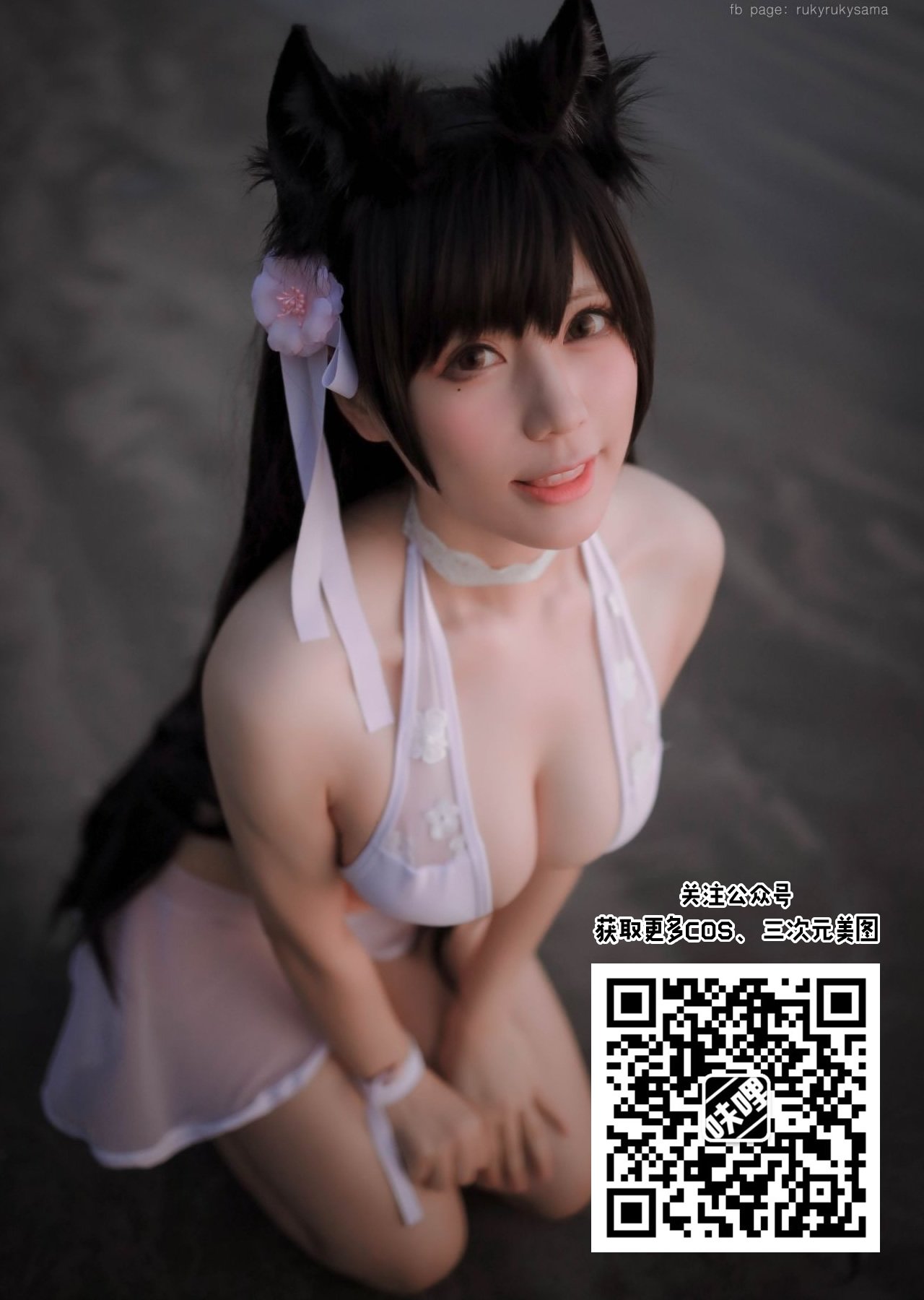 z999-COS公众号