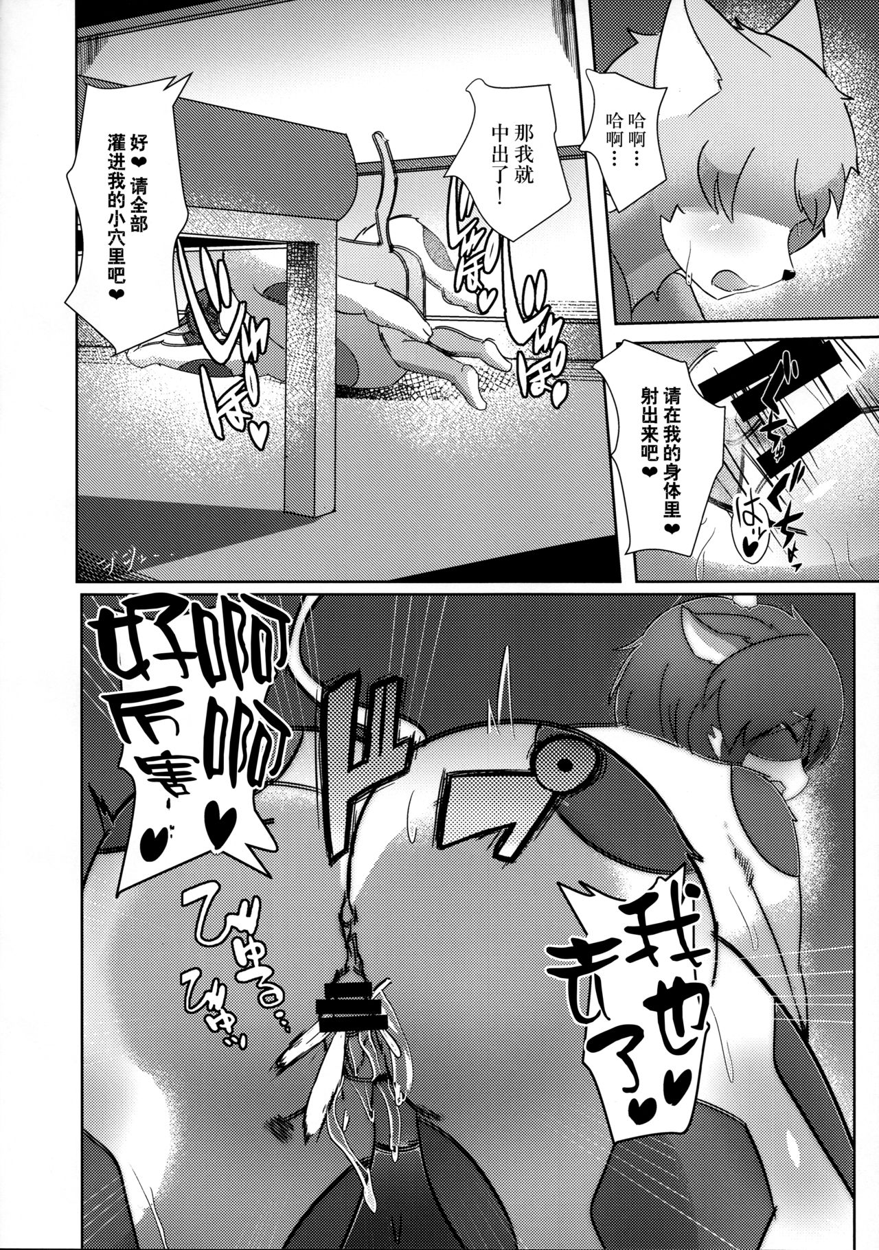 23