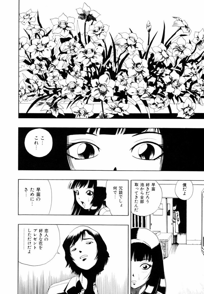 himawari_156