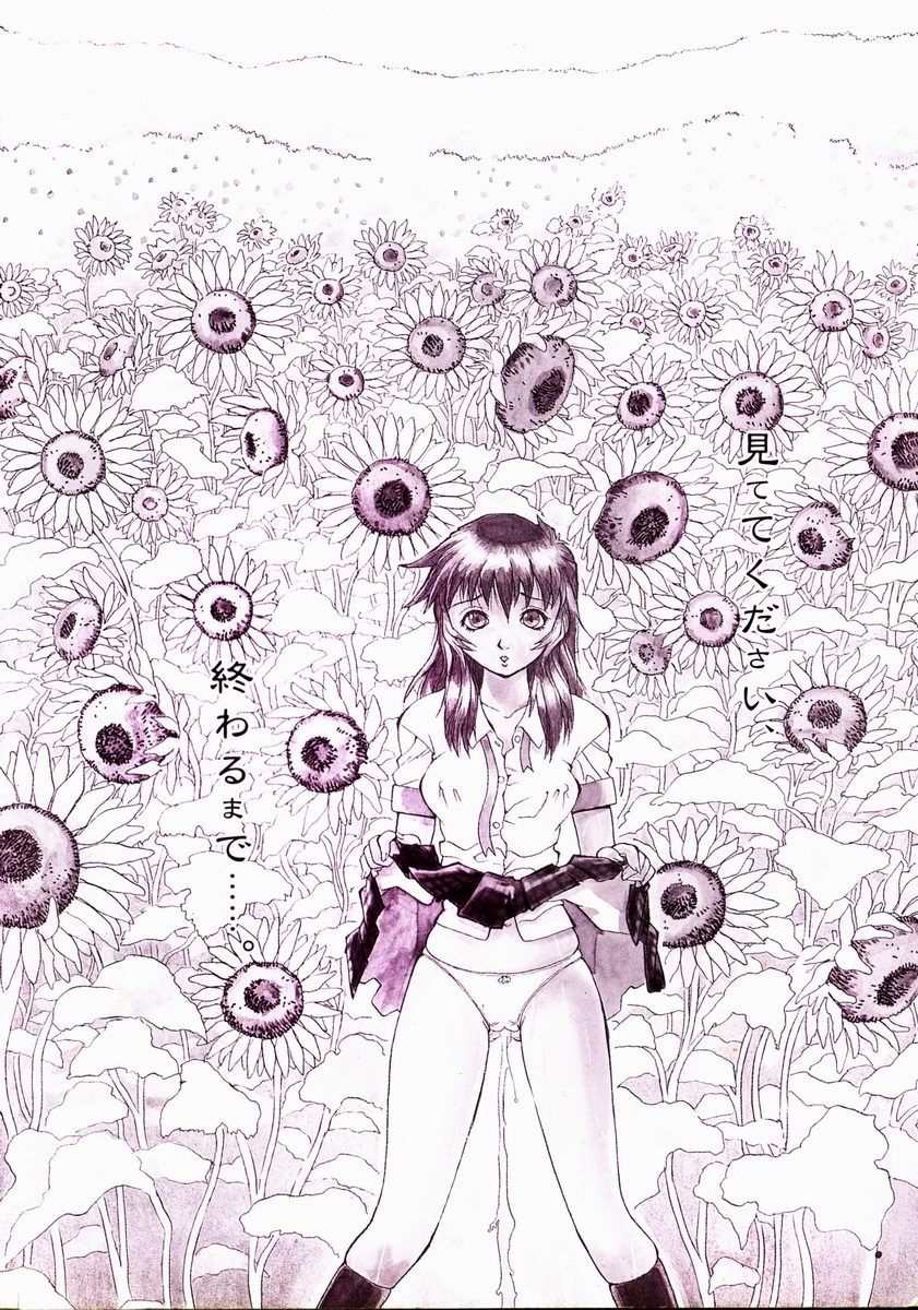 himawari_169