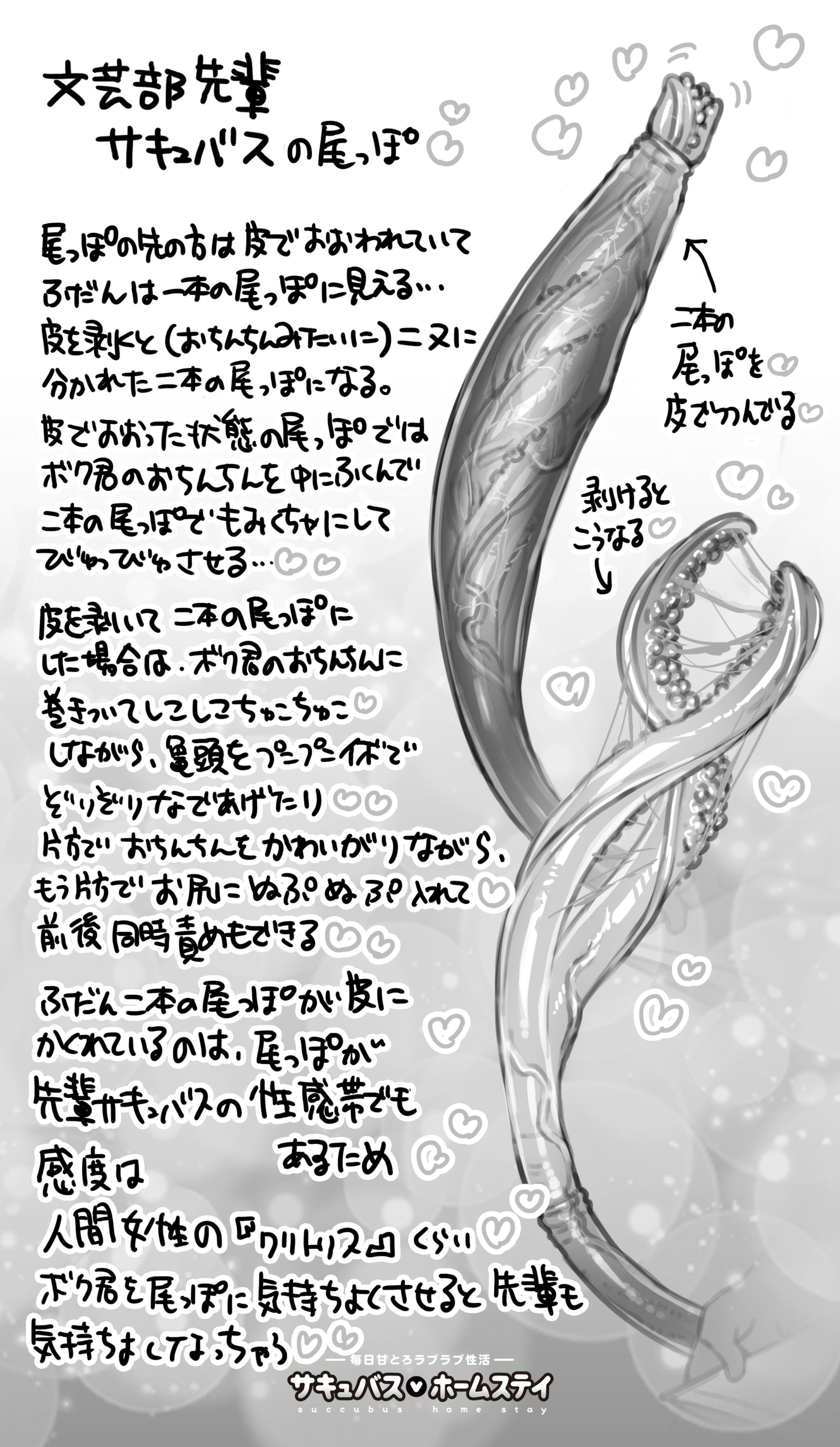 527_65_11.jpe