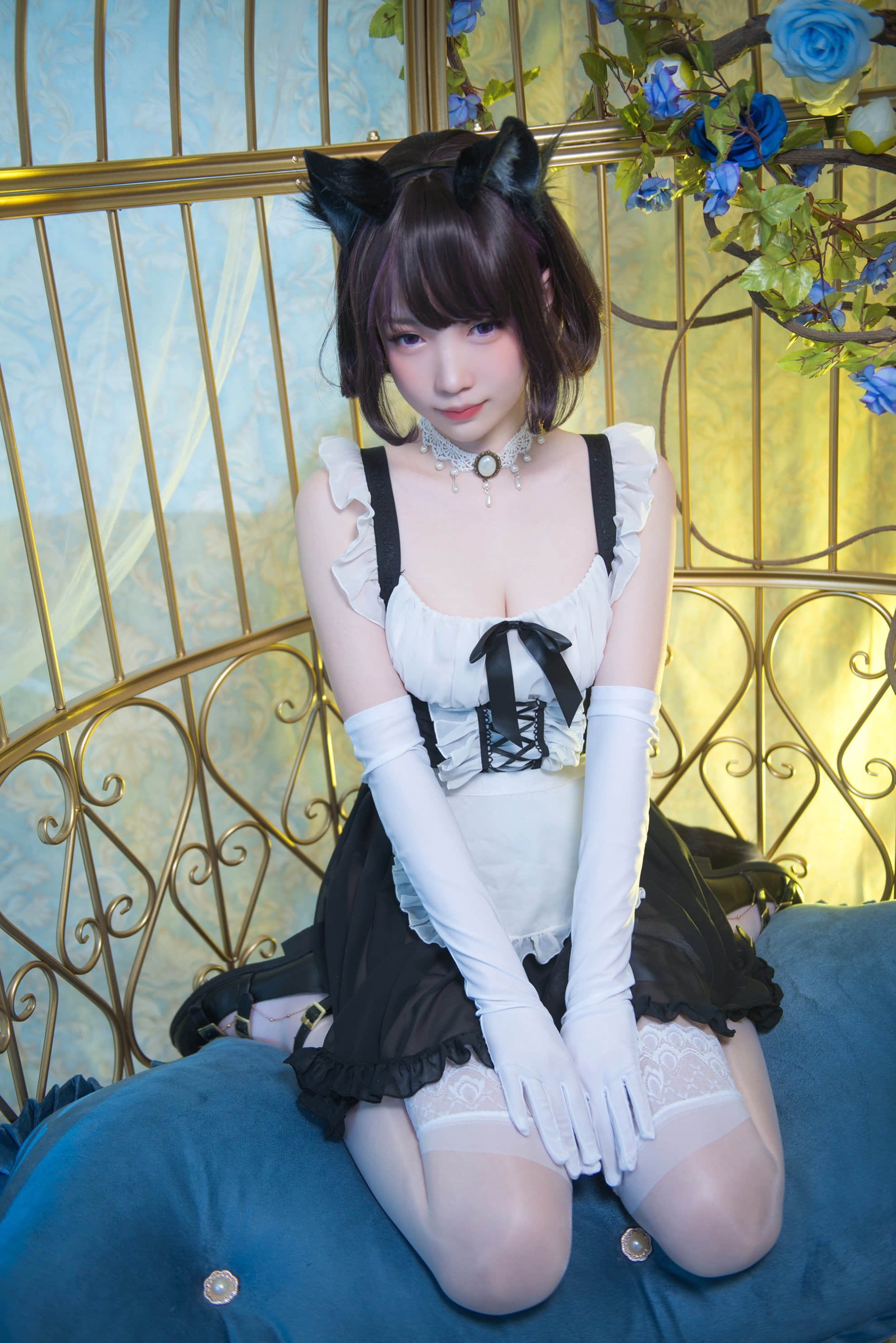 COS_6699
